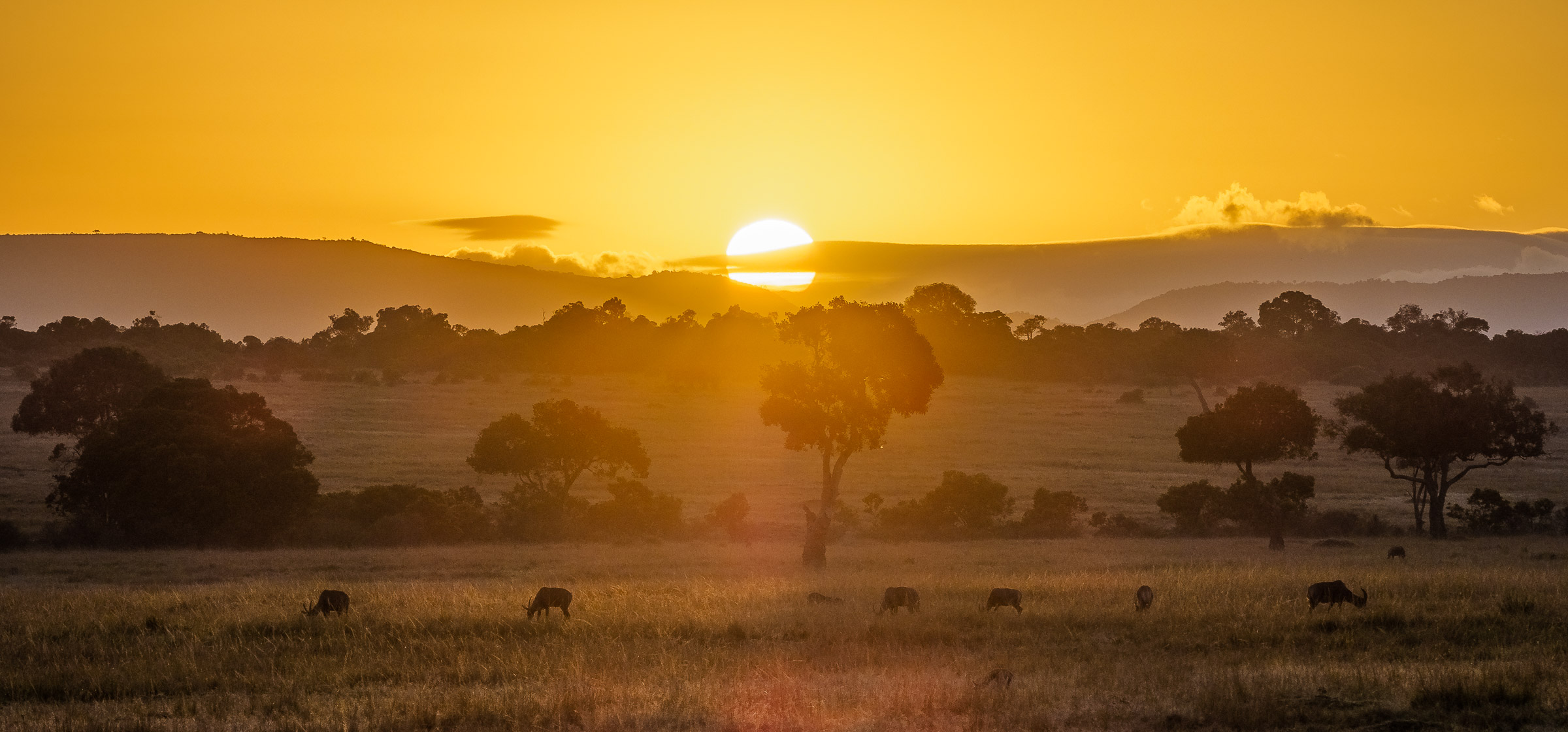 Sunset over the Maasai Mara savanna